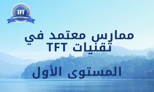 برنامج ممارس معتمد في تقنيات TFT المستوى الأول